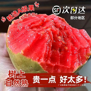 ����S���]���V�|�������ͼt�İŘ����r���]5����A+������ˮ��