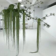 ���zˮϞ�~����ˮ�T�~�z�ɲݻ�ˮ���~�z�����������b��ϻ�c��