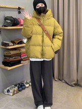 ̿qŮ2023СӰqreBñ׳