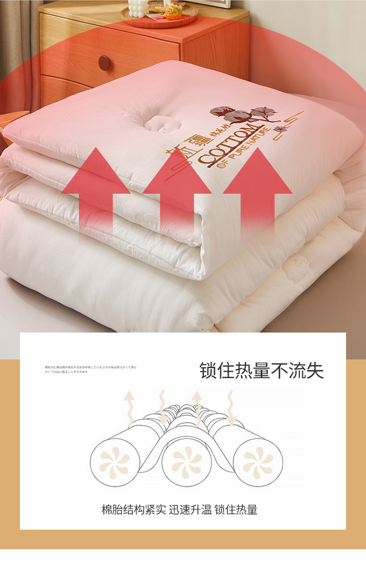 迹添雅 100%棉花被子亲肤水洗棉冬被芯春秋被