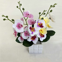 �����ָ�3D��ӡLS�����m���ҿ͏d��ˇ �ָІ�֧�b�c�ٻ����l