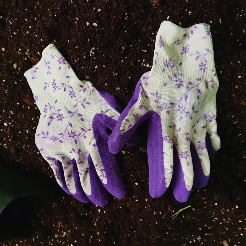 tb_image_share_1739371232801.j