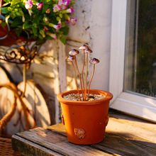 L 70142 Iron Mushroom Ground Decoration ����Ģ���ز�װ��