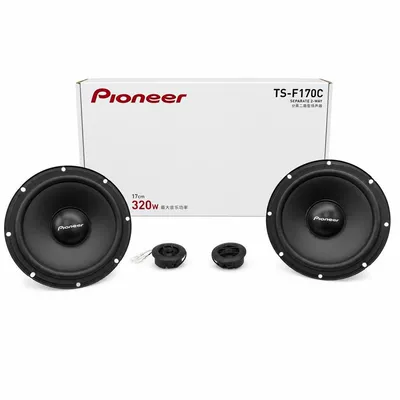 Pioneer, Car speaker/subwoofer