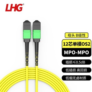 LHG MPO-MPO12 Core Single Mode Optical Fiber Line Female Head B Polarity 40G/100G Operator Grade 3.0 Cable Diameter