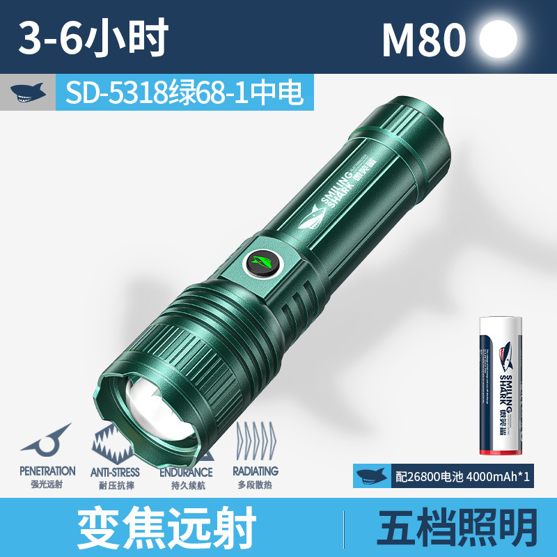 SD-5318 그린 68-1 중국전력 [4000MAH]