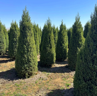 һ�����l�G�����ɘ��� ���ɘ��� �̰��� ��·�G�� ������ ���ɘ�