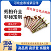 水泥墙快速壁虎膨胀钉 插片壁虎 锤击膨胀 打入式膨胀螺丝6mm敲打