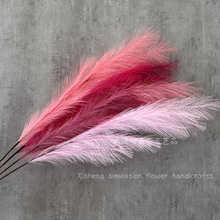 ���柟����ë�JȔ�ݷ��滨��c�����廨�������÷�����ë��Ȕ��