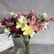 �S����ˮ�ٺϻ�c���T�廨������������3d�͏d�b[�żٻ��Gֲ