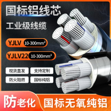 �Xо��|��4о�����X��YJLV16 25 50 95 120ƽ�������ľ���|��