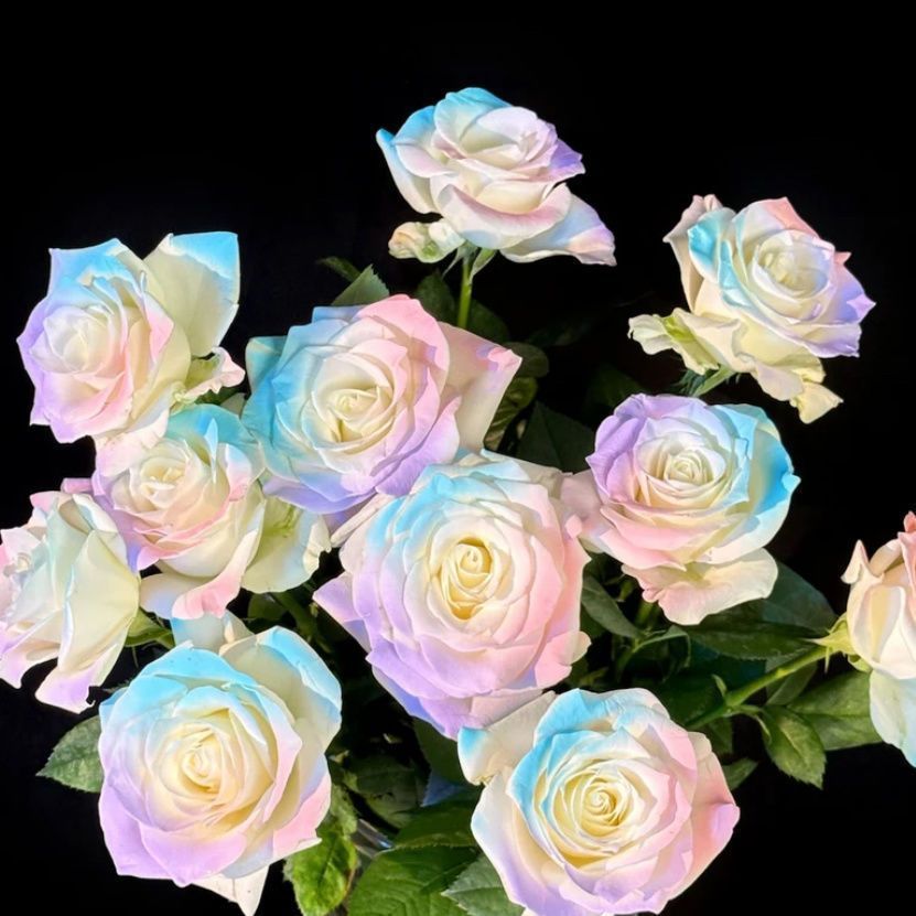 9b6510c2-e26b-4ead-b053-1bb53d444116.jpe