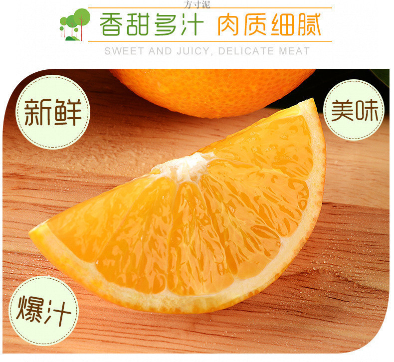 33a18e73-e2ea-420d-a8a8-38a16b24f5b9.jpg?x-oss-process=image/format,png