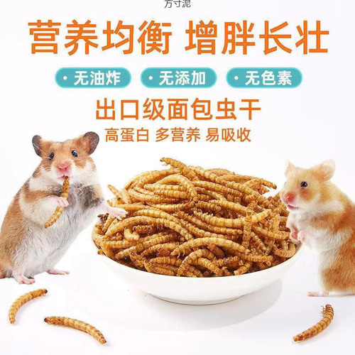 Bread Insect Dried Yellow Mealworm Dried Hamster Food Turtle Food Fish Food Magpie Bird Food Rutin Chicken Feed Pet Snacks Factory