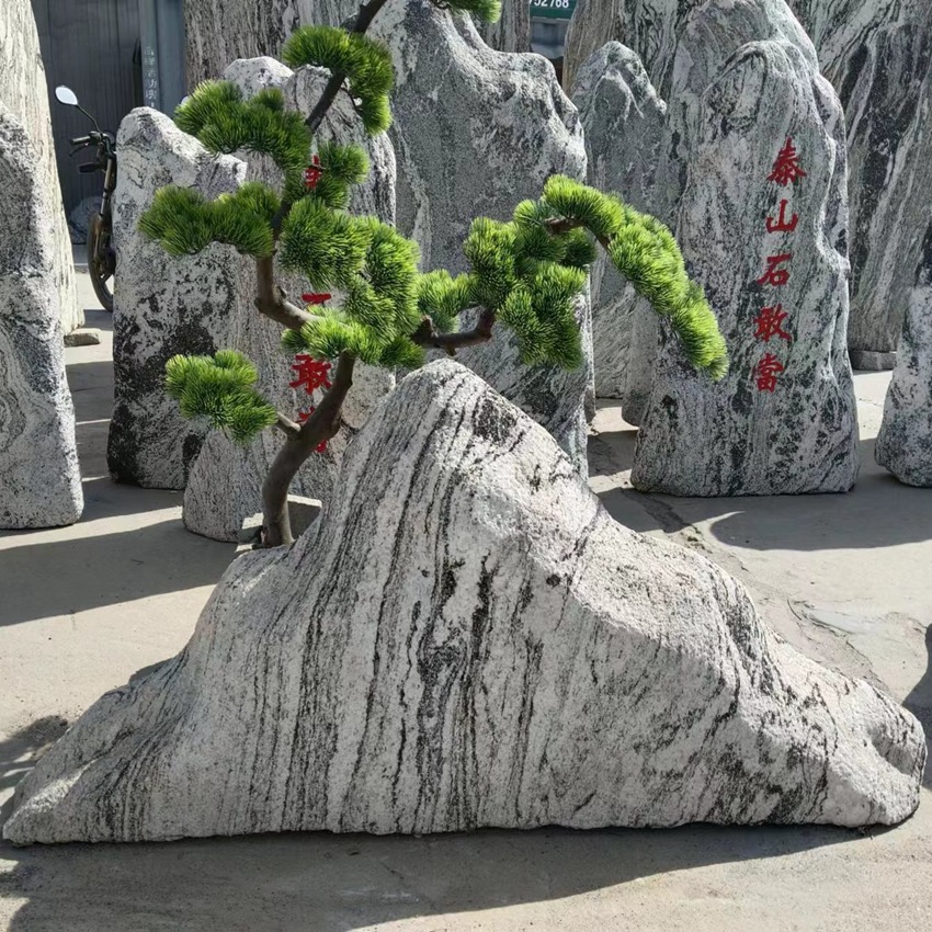 QQ图片20240129153825