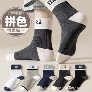 �m�����ﶬSP��ʿ�m����Ͳ�m��ɫ���m�ﶬ���Ͳ�\���L�m��ʿ��Ͳ