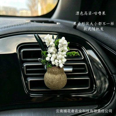 Car Perfume Aromatherapy – Fruit Plant Dried Flower Car - bleached-white-sorghum-gulu-fruit-car-style-free-essential-oil