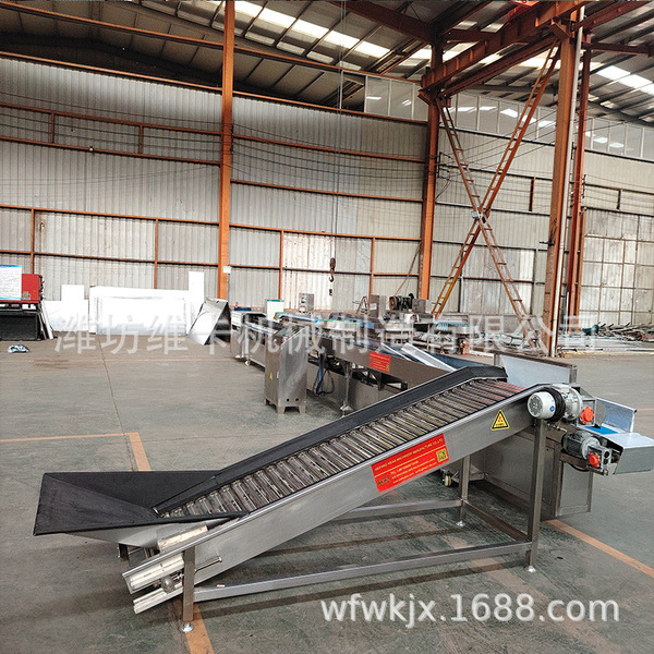 Tomato and citrus electronic fruit sorting machine