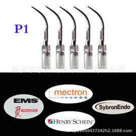 牙科洁牙机刀头 洁牙机工作尖 P1 超声波洁牙机刀头 5支销售