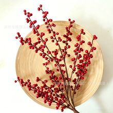 �羳����tɫ�{��֦�}�Q���������b�Ʒ�b���m��Ӱ���Ĕz����