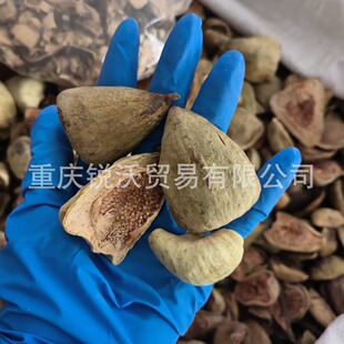 1000�˺��ɢ�b���l��ĸ��ľ�z�^���۹�ľɏţ�� ��ţ����Ѧ���