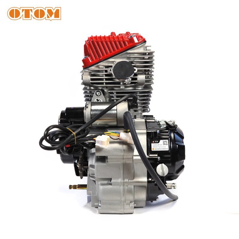 Zongshen Cb250R Four-Valve Air-Cooled Engine New Power Engine Kevius Off-Road Motorcycle Modification