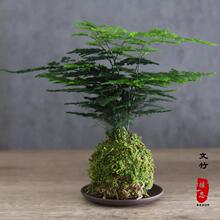 �����҃�С����ˮ���׻�ֲ����B�k���ҾGֲ���愓���辰̦�\����