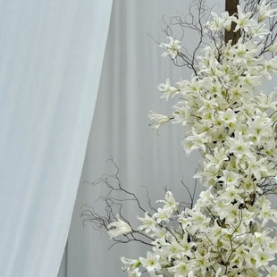 ����ٺϻ���c�ҾӔzӰ�Ƶ��Y�þW�t���̈�������ꐿ羳���l