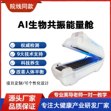 生物共振能量舱养生馆汗蒸舱远红外线旋磁太空舱石墨烯大健康仪器