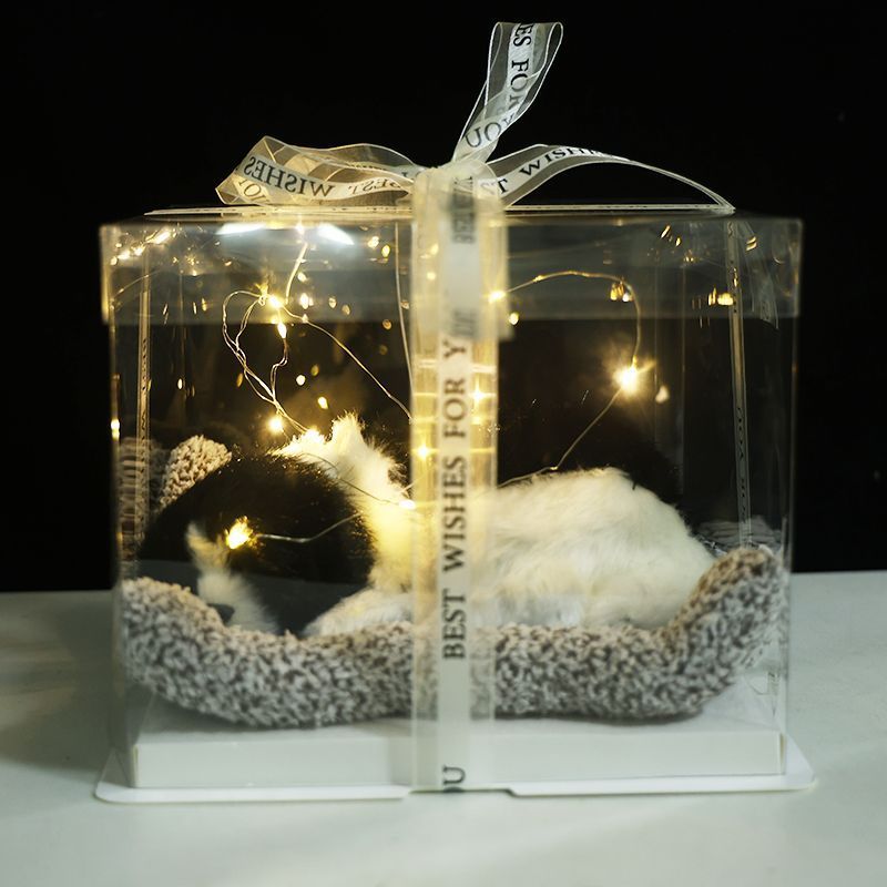 Regalos de Día de San Valentín, novia, novia, regalo de cumpleaños, muñecas de simulación de animales llamarán gatos.