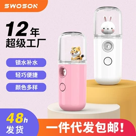 电子美容仪;美容喷雾仪;电吹风