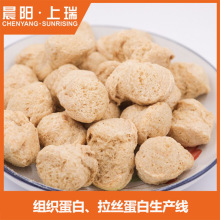时产300公斤组织蛋白生产线 拉丝蛋白生产线 组织蛋白加工设备