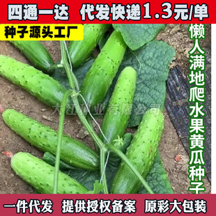 �M����ˮ���S�ϷN�Ӳ�����ļ�ͥԺ�̨�����S���ѷN�߲˷N�ё���