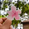 Peach blossom C