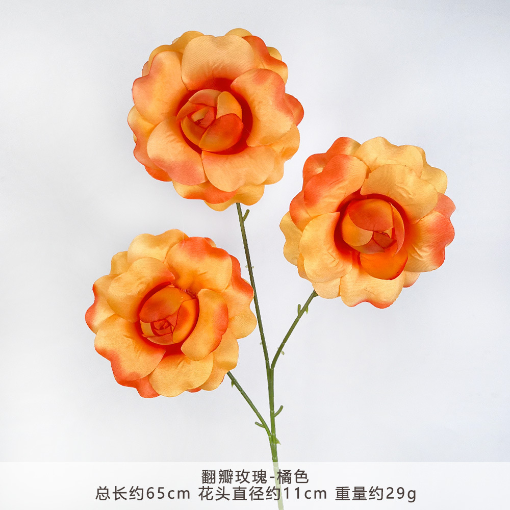 YN-flap màu hồng cam