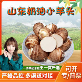 山东牛奶小芋头 代发3/5斤新鲜毛芋头奶香小洋芋当季蔬菜