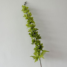 �ٻ��~�ĵ��Ų廨���߻�Y�Gɫ������cϵ��Y ɭϵ ���滨·����