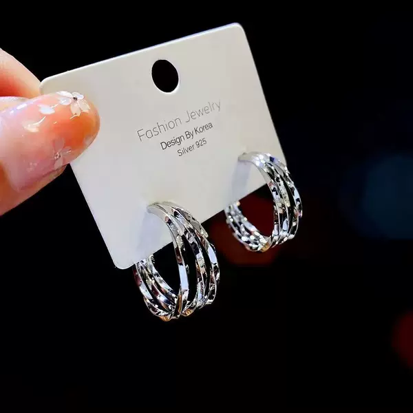 High-End Small Hoop Earrings, Fashionable and Versatile Casual Earrings, New Autumn and Winter Style, Minimalist Hoop Circle Earrings for Women