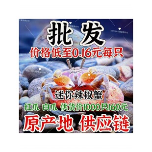 ��������з���w����΢���^��ˮ�Y���^�pз����ˮ�����坍���׻�