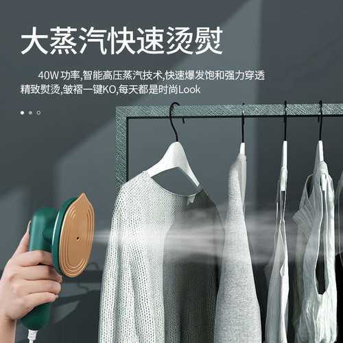 Cross-border export portable handheld garment steamer home small iron electric iron for dormitory clothing iron gift