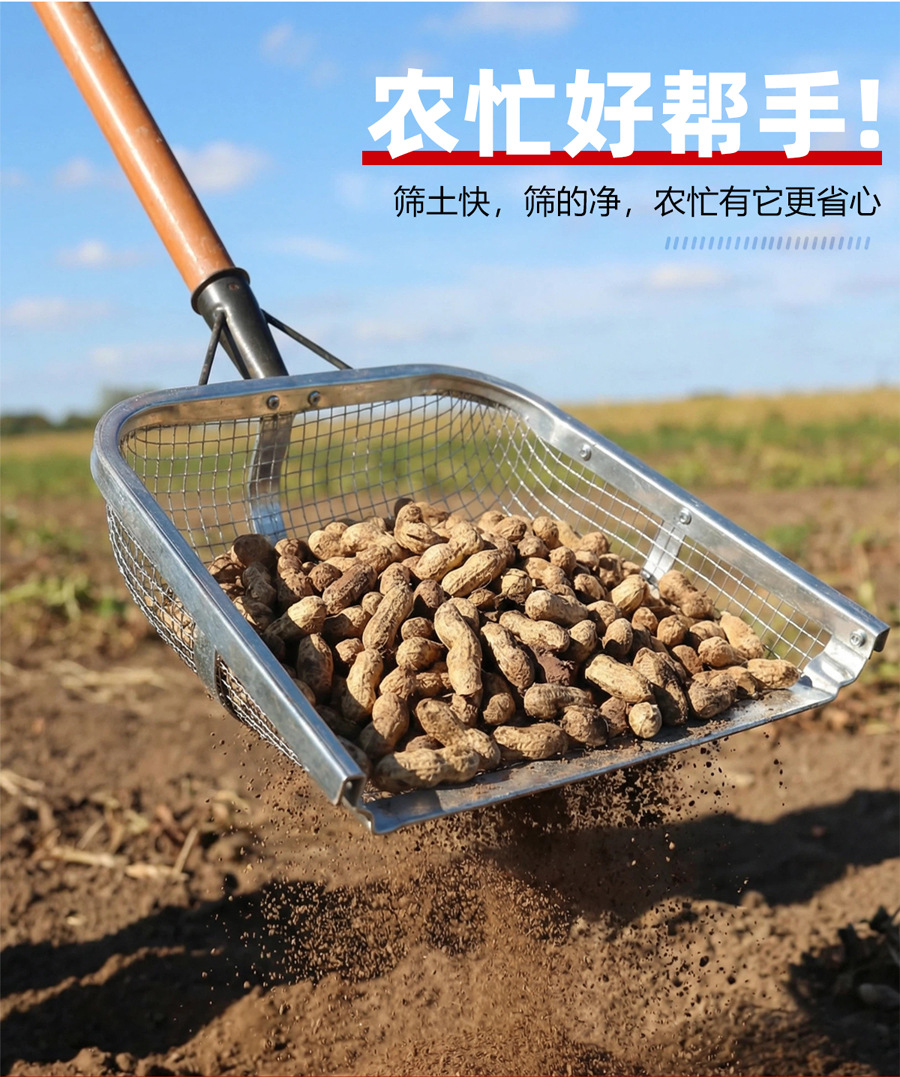 未标题-2_03.jpg