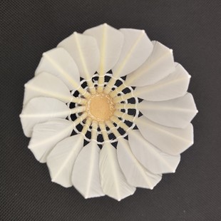 �������]����ȫ�@����ë�����l�S�����^�����ʹ��w�����ßo�����w