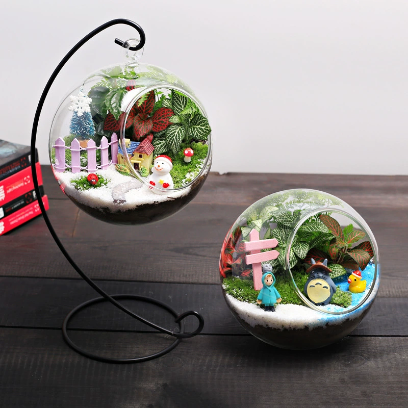 13 Рождественский Крытый Рабочий стол мини маленькие горшечные зеленые растения мох экологическое стекло миниатюрный пейзаж DIY материал