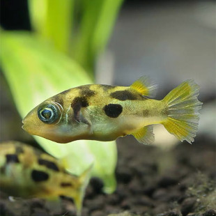 �����ɿ����~������w��ˮͧ΁�x���ǲݸ׳��݌���С�͟Ꭷ�^�p�~