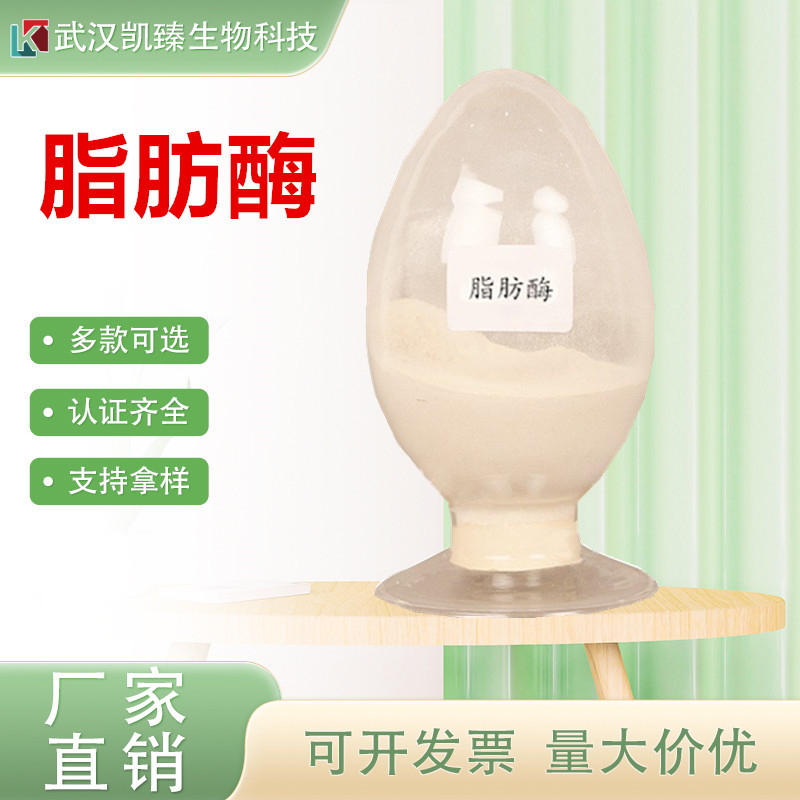 现货食品级脂肪酶10万u/g水解制剂食品加工油脂分解酶认证高活性