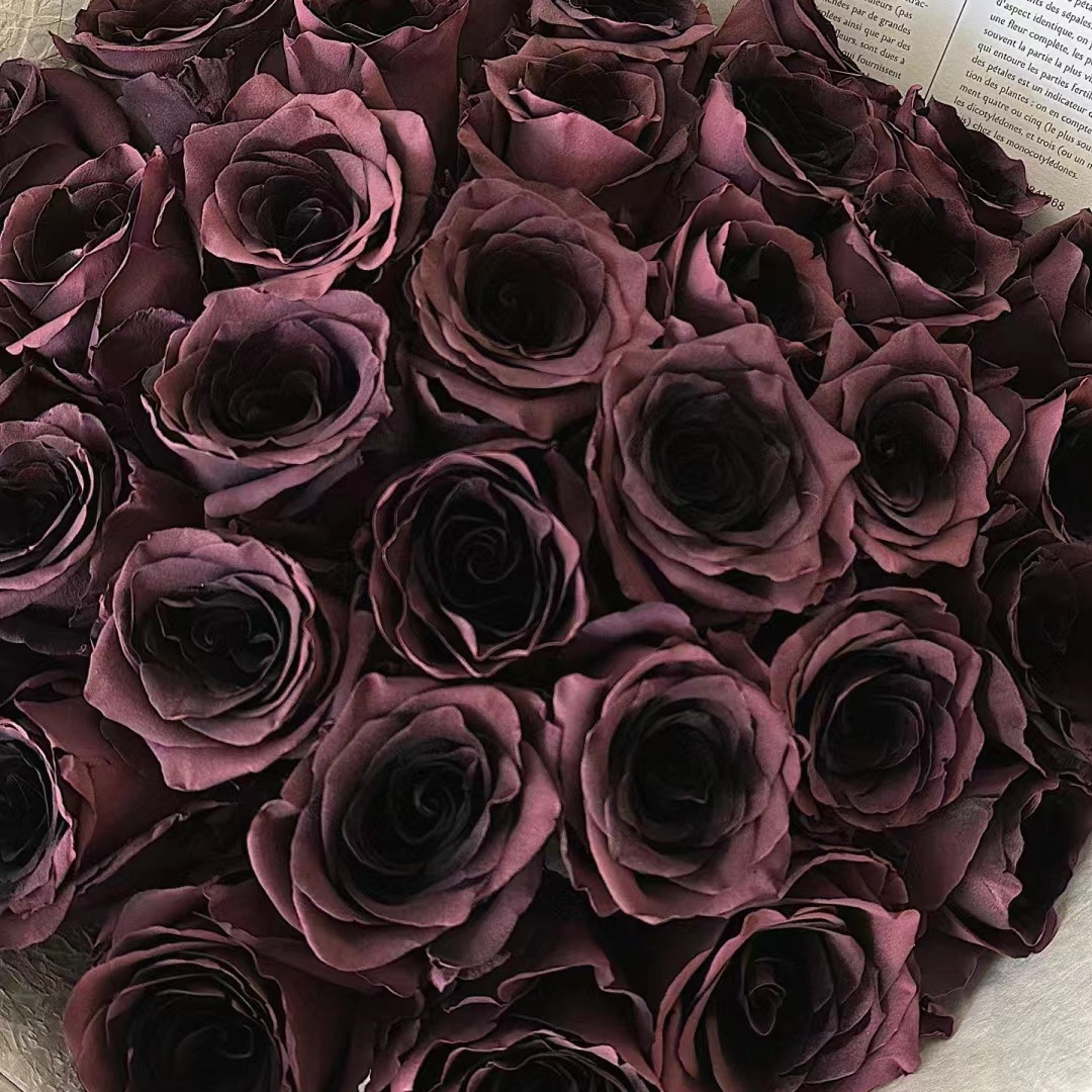 매실 소스 레드