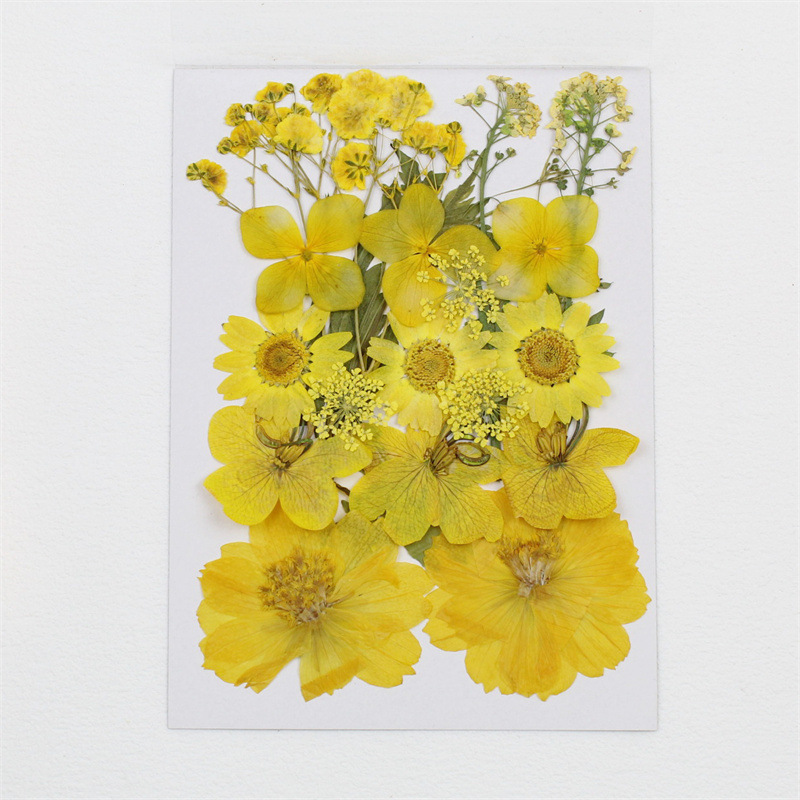 옐로우 (20송이)