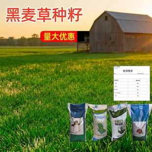 �����������o���{�˺����ݷN���ļ�����G���ͺ���ƺ���ѷN��