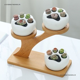 մɄС؈צʯƨRGֲ͸g