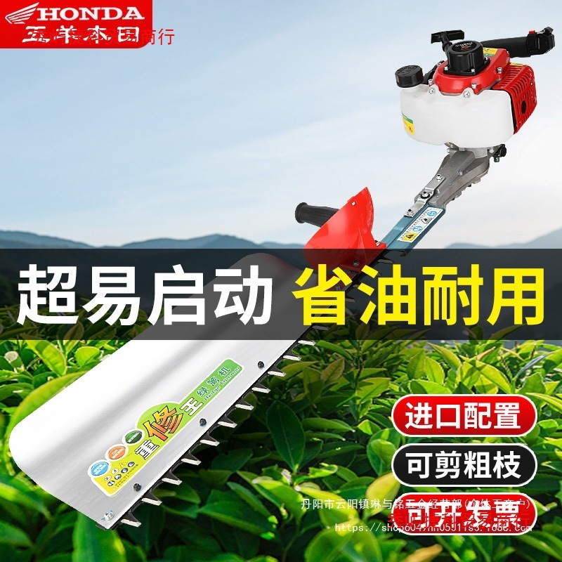 进口汽油绿篱机重修园林修剪机茶叶茶树修剪机剪茶机枝剪